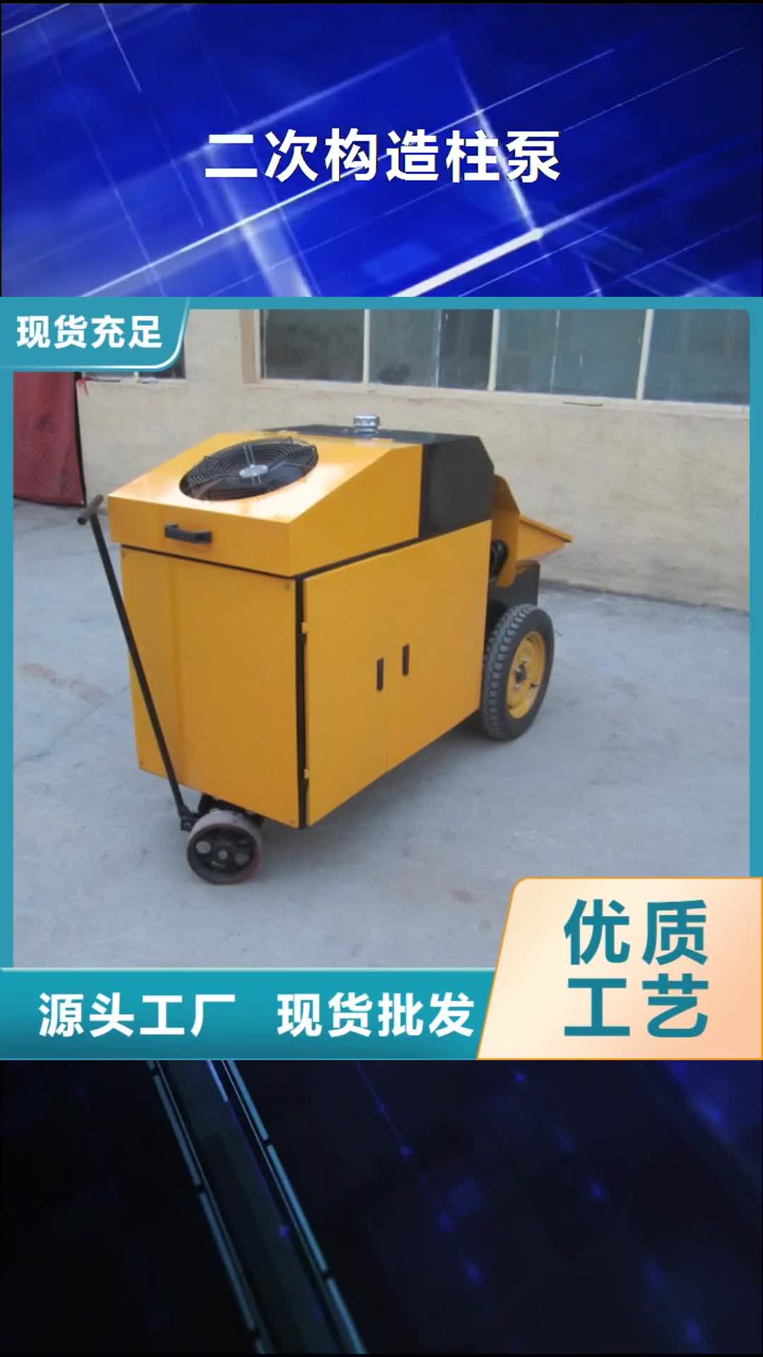 福州 二次构造柱泵-【二次构造柱泵厂家】工艺精细质保长久