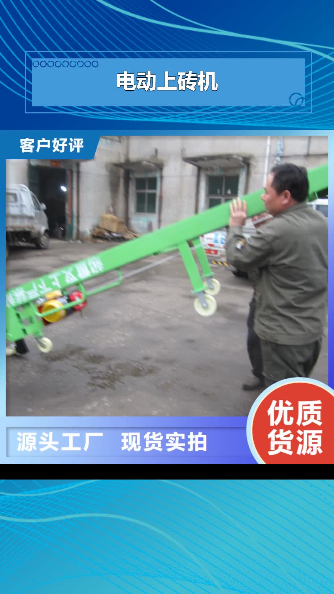 大理 电动上砖机_【缠绕膜打包机】N年专注