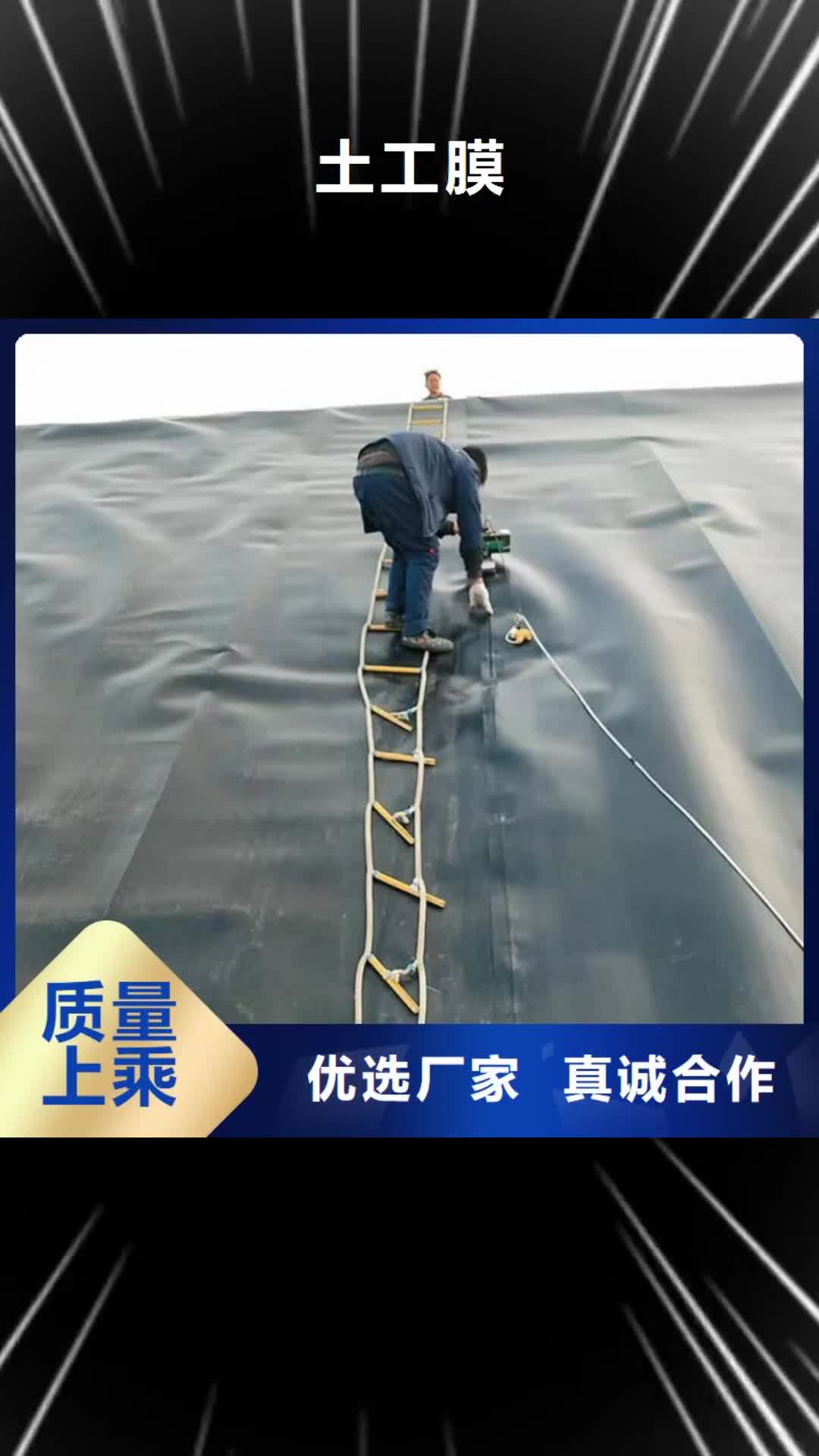 新余【土工膜】 防水排水板厂家直营