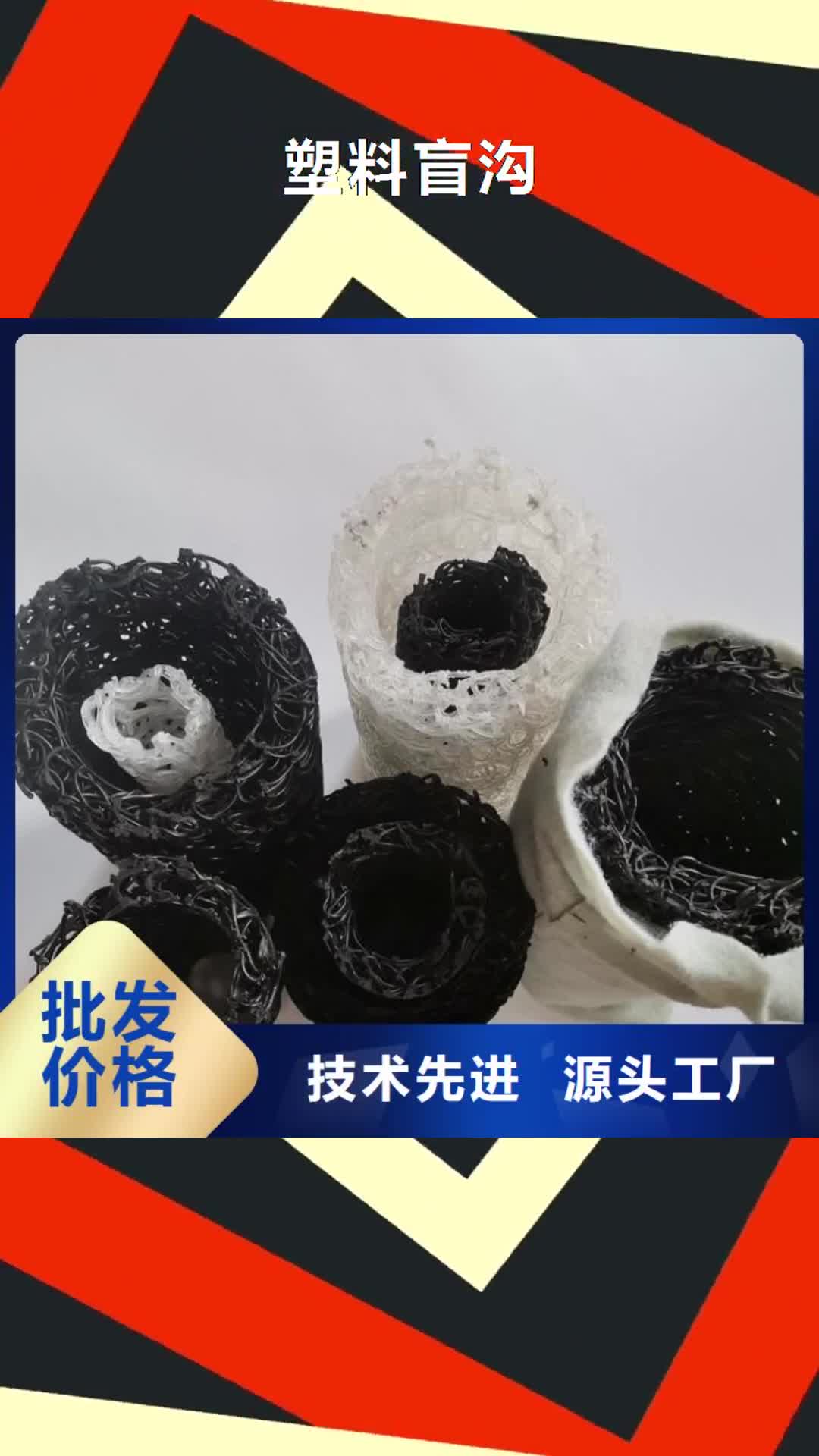 南充【塑料盲沟】-土工膜用心做品质
