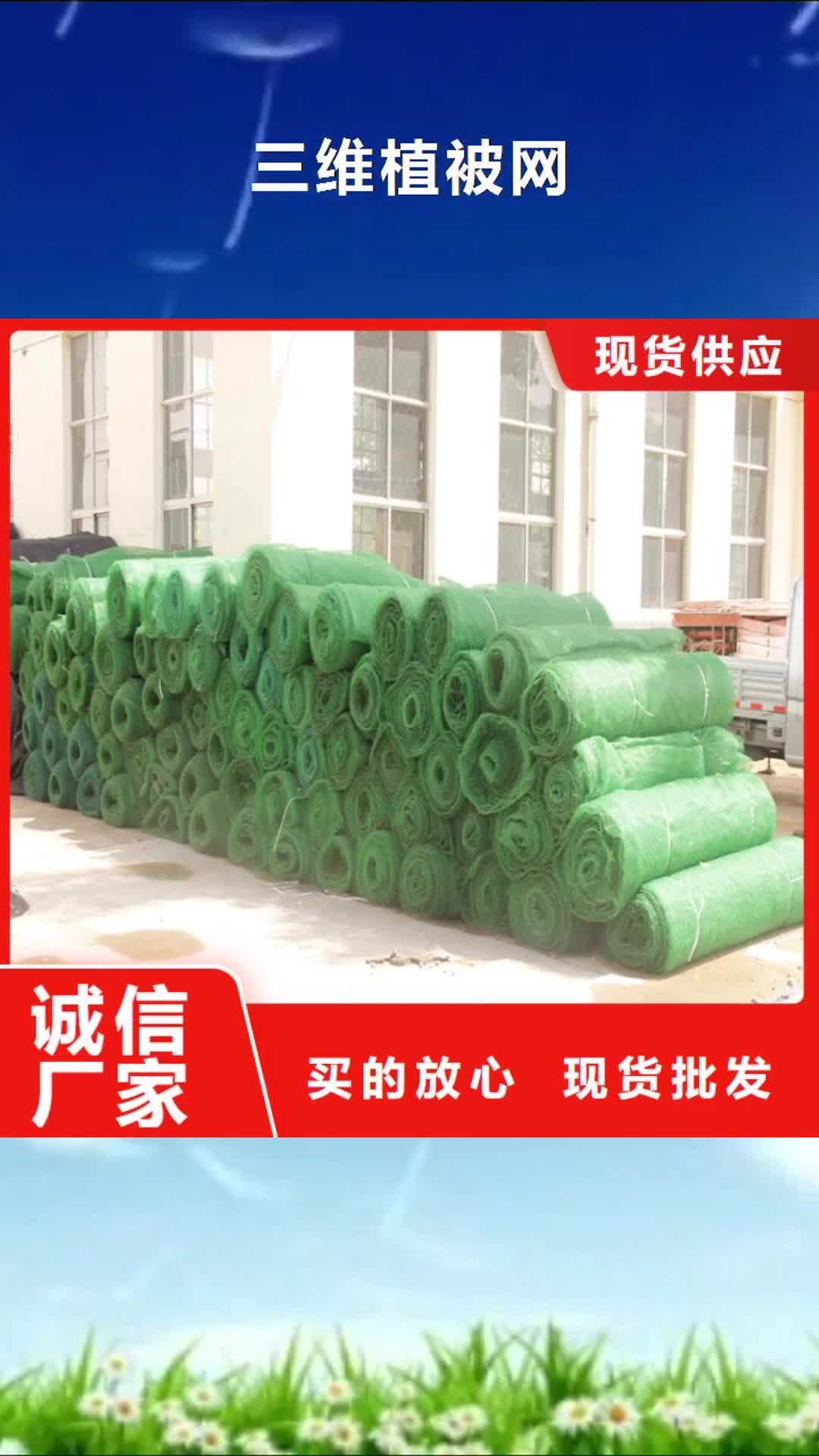 【贵阳 三维植被网-土工布一周内发货】