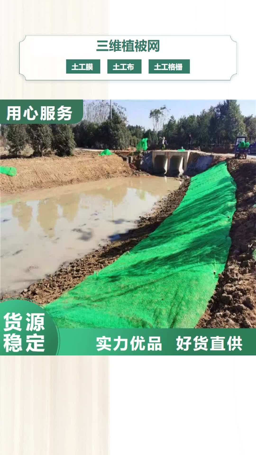 宝鸡【三维植被网】 防裂贴安心购