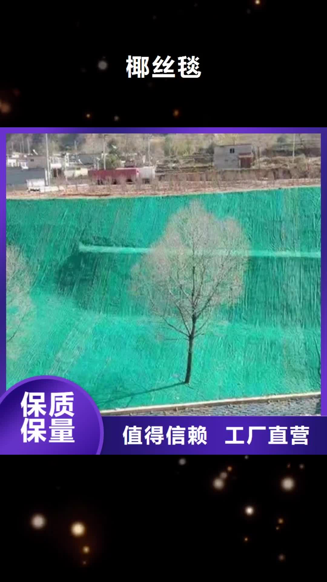 红河【椰丝毯】,土工格栅品牌大厂家