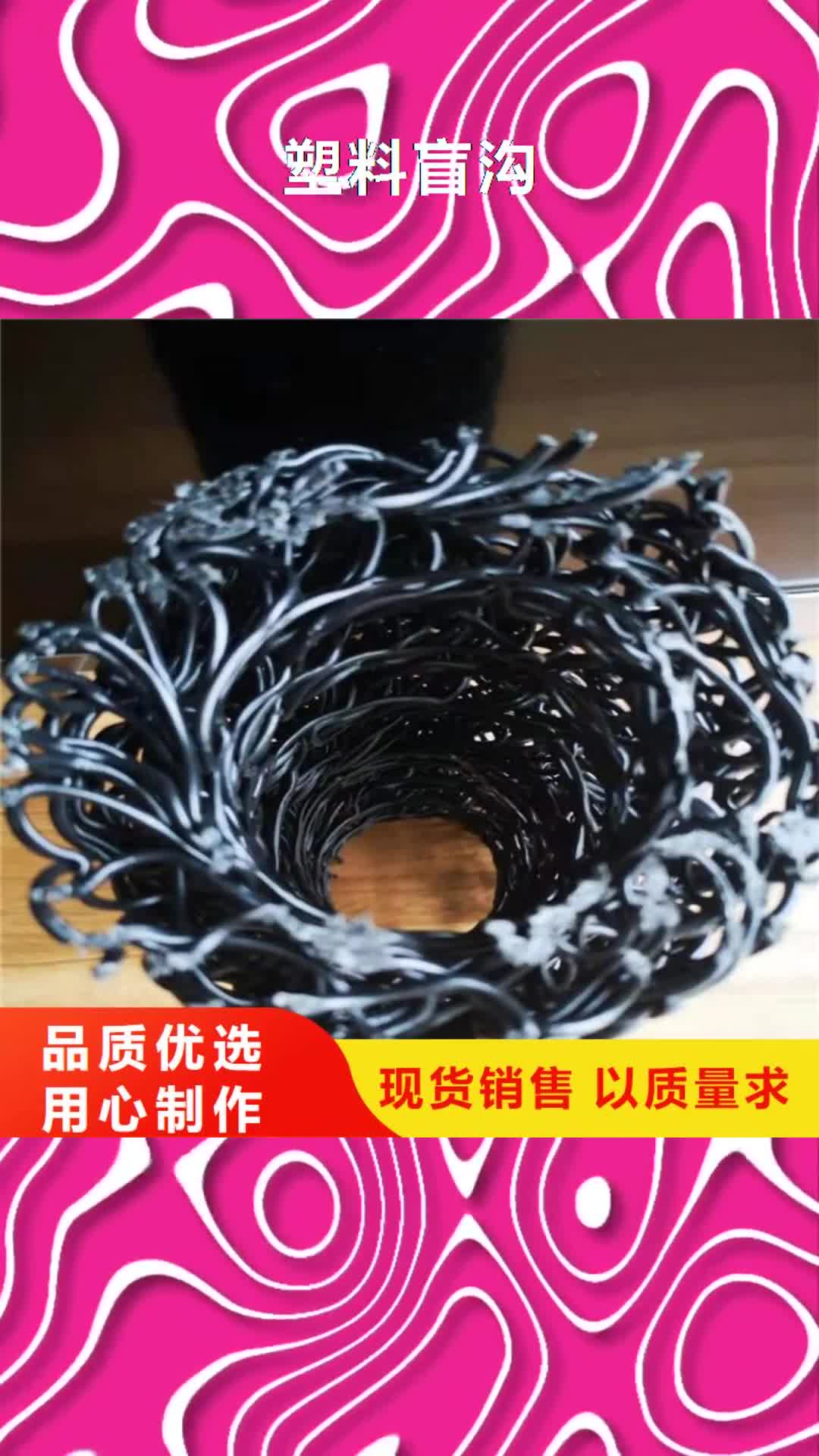 绥化【塑料盲沟】土工格栅量大从优