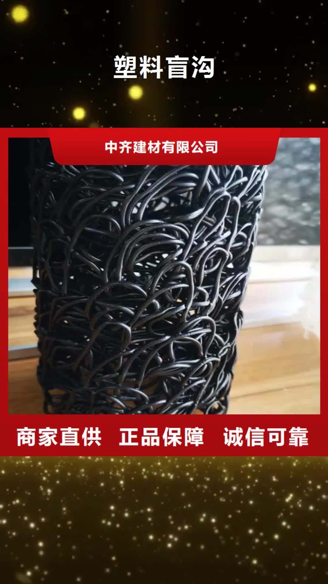 恩施【塑料盲沟】防水板严格把控质量