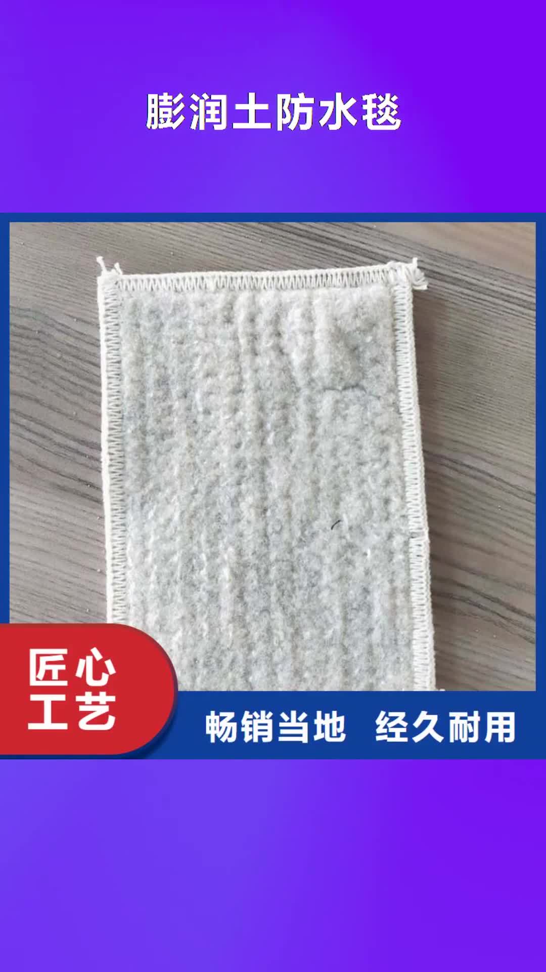 【海西 膨润土防水毯,土工膜来图加工定制】