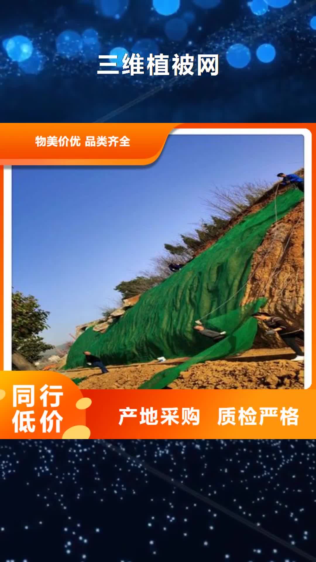 【驻马店 三维植被网_防水板经销商】