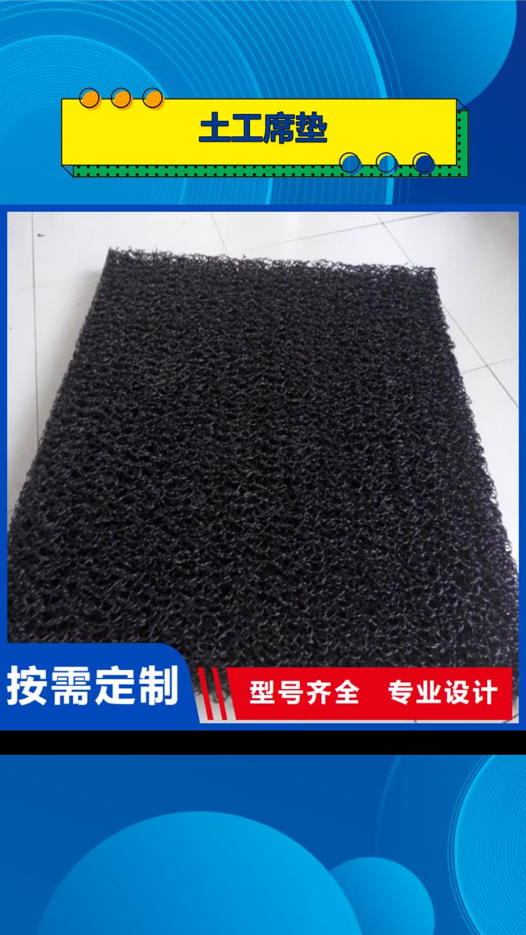 【甘孜 土工席垫_HDPE土工膜好货有保障】