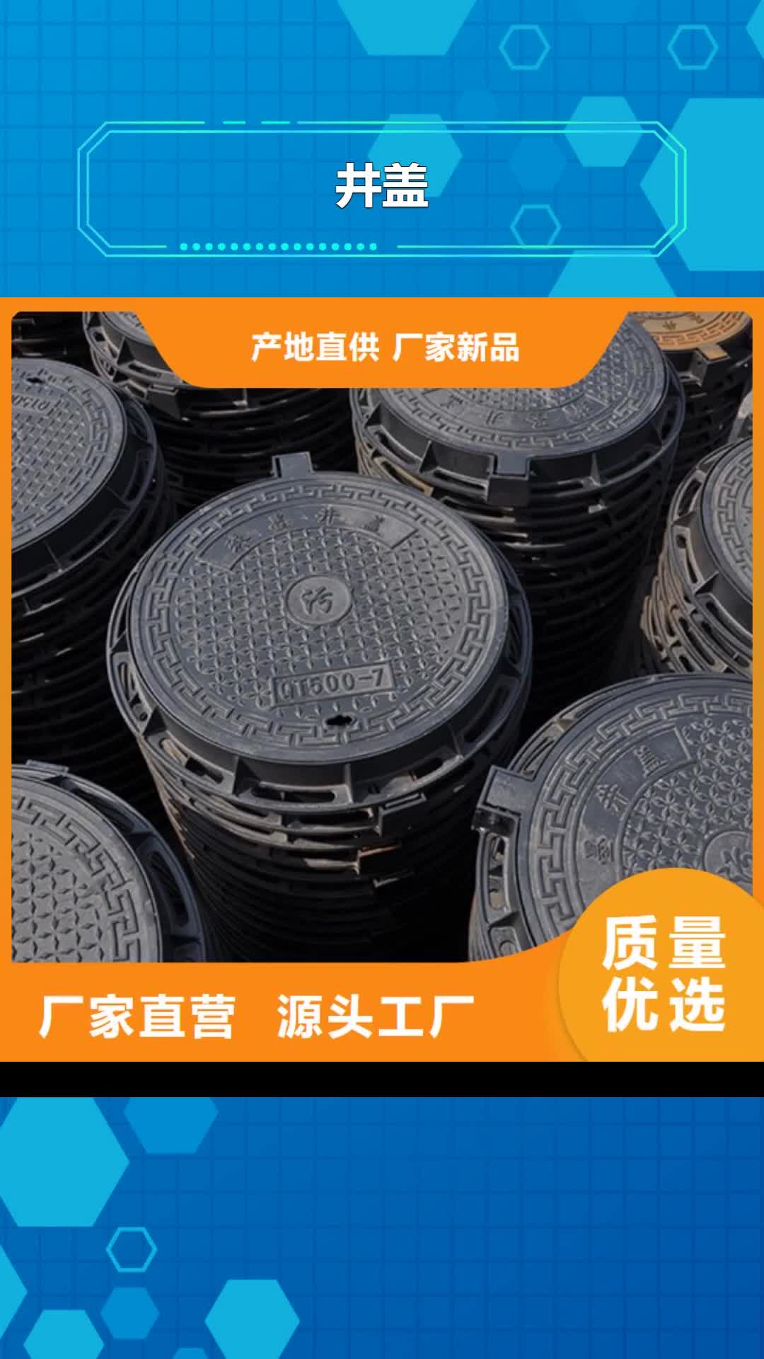 靖江 井盖 【柔性铸铁管】同行低价