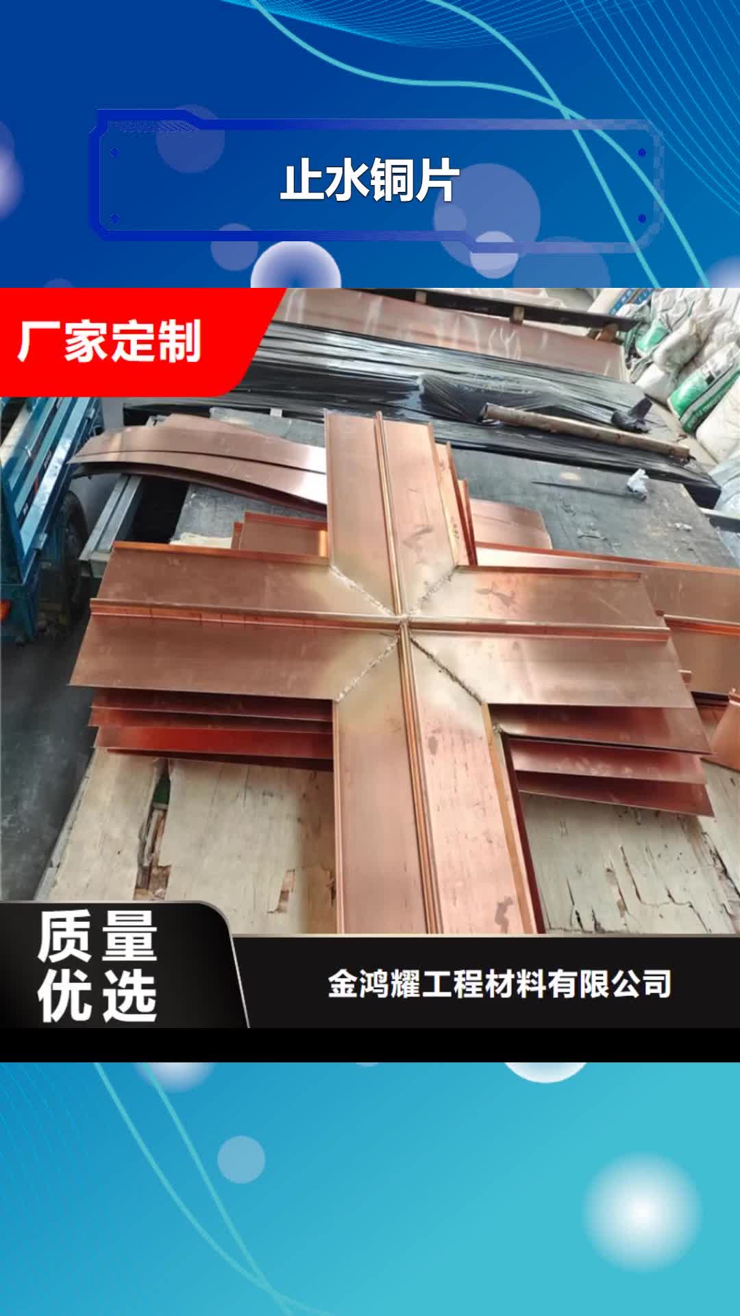 日喀则【止水铜片】抗裂纤维实拍展现