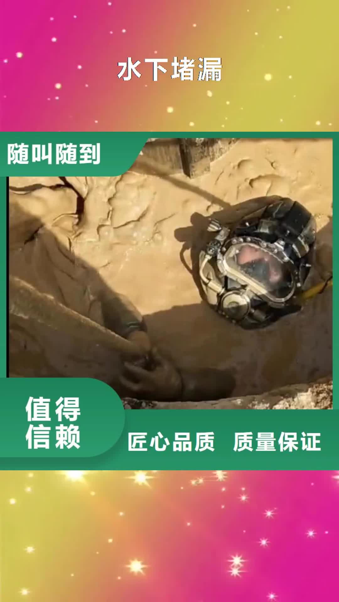 【延边 水下堵漏 水从业经验丰富】