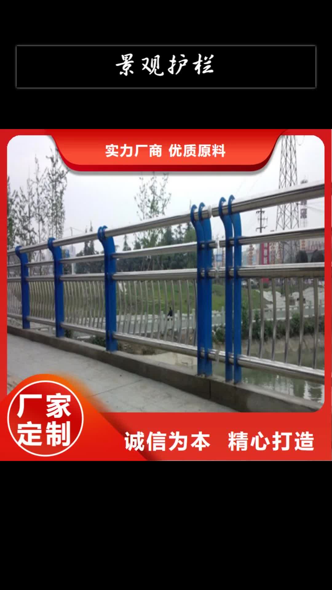 北海 景观护栏 【钢板立柱】精心