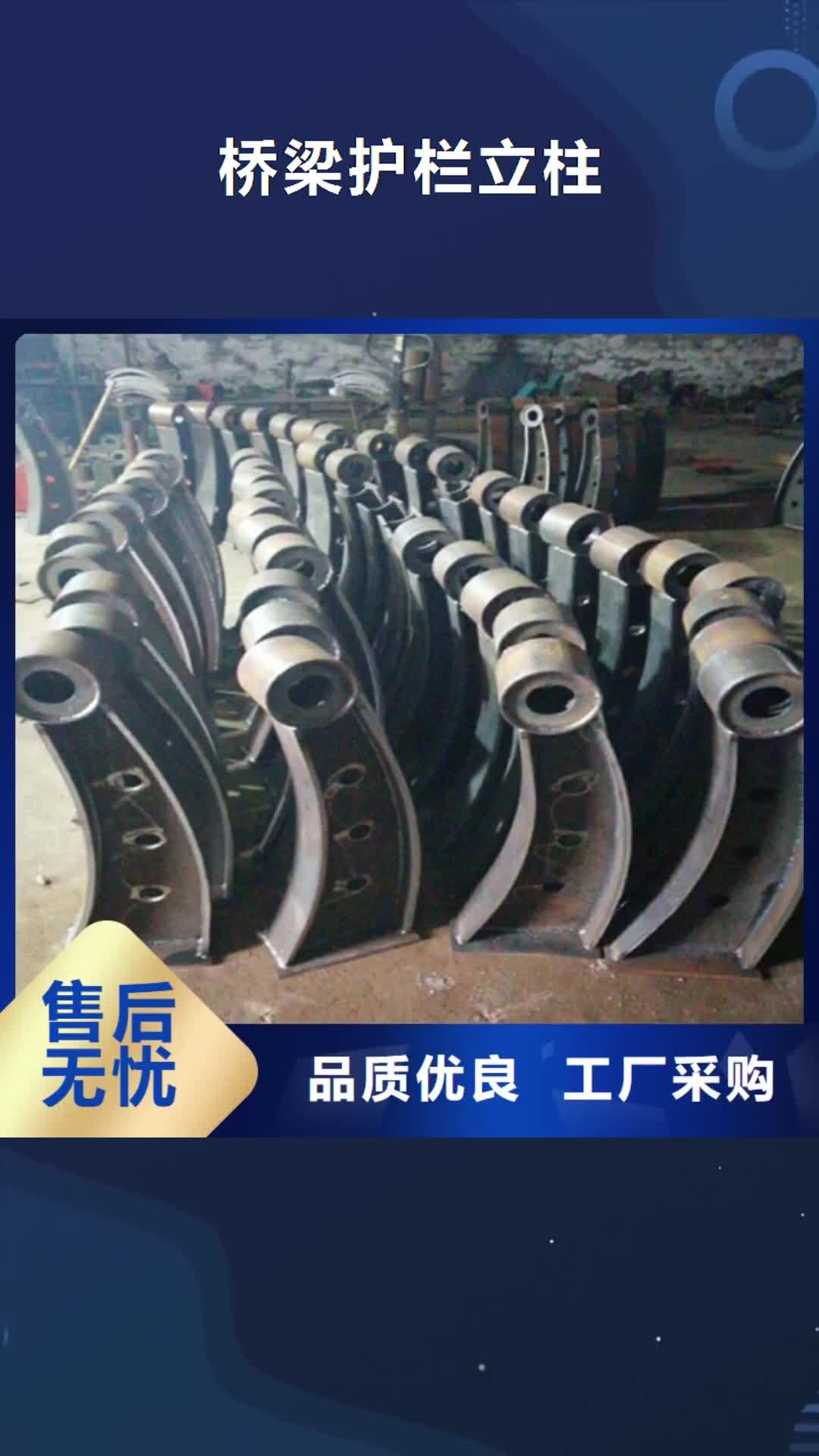 株洲【桥梁护栏立柱】-镀锌喷塑防撞栏出货快