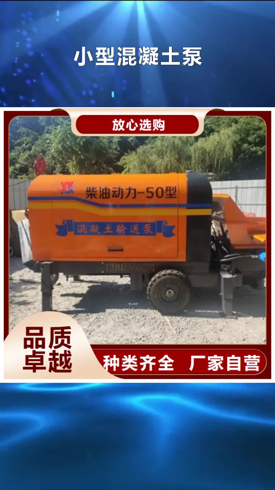 【海南 小型混凝土泵-二次结构柱泵实力商家】