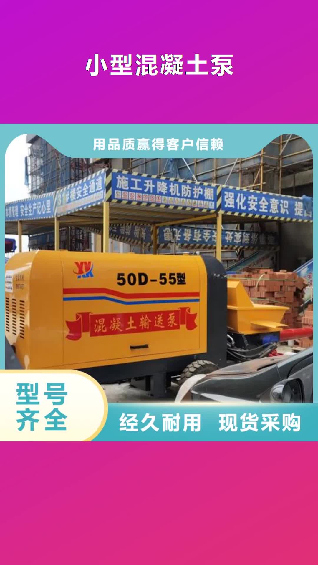 【济南 小型混凝土泵_小型二次构造柱泵实体厂家大量现货】