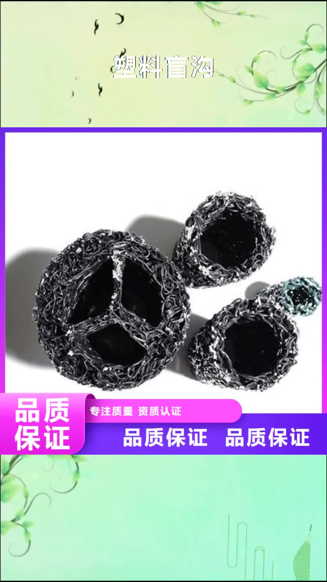 江苏【塑料盲沟】 土工膜热销产品