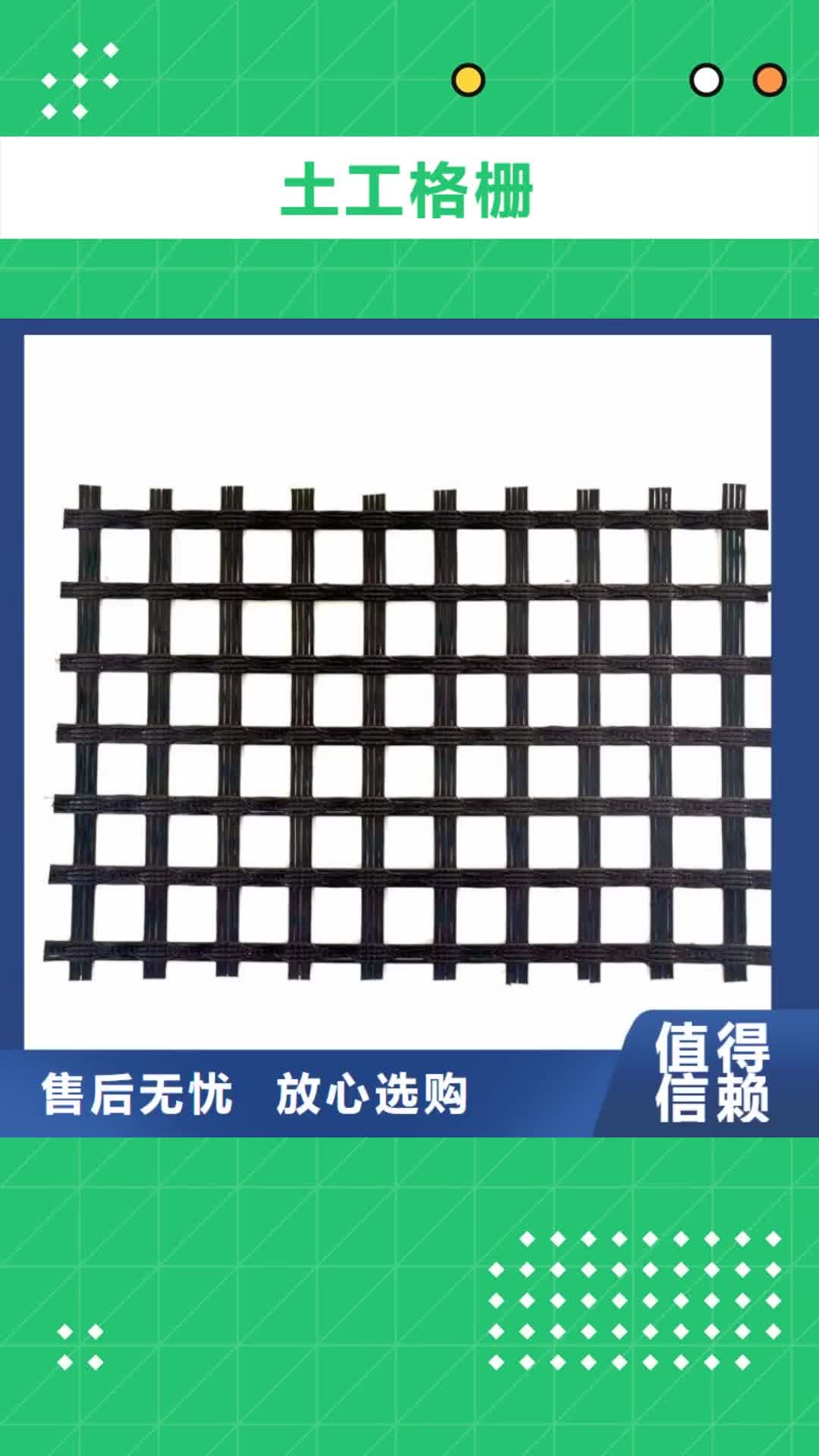 石家庄 土工格栅今日新品