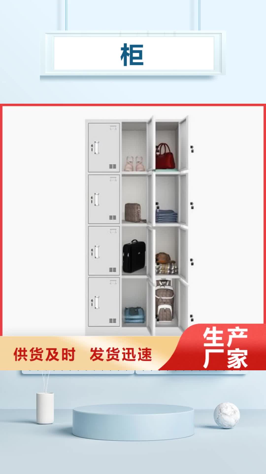 佛山 柜 【五节文件柜】的图文介绍