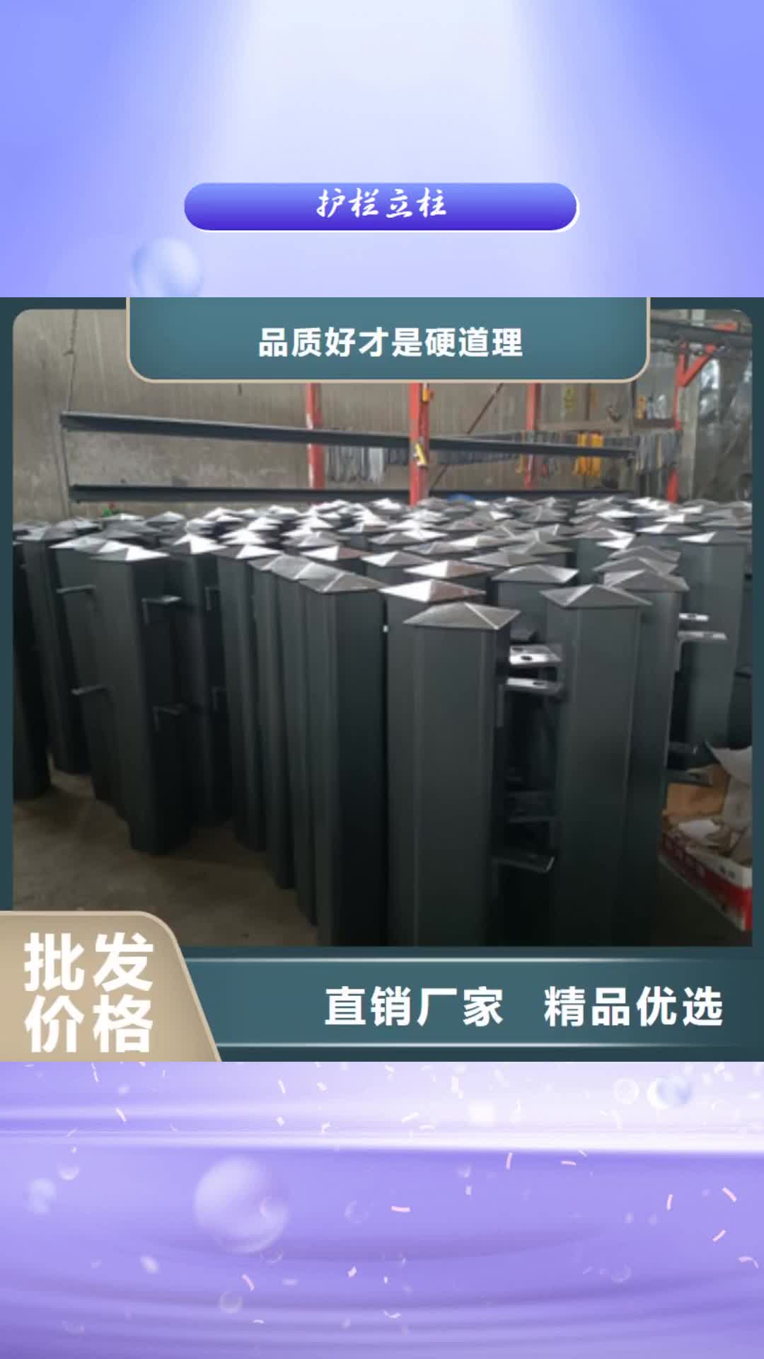 珠海 护栏立柱_【桥梁护栏厂家】产地工厂