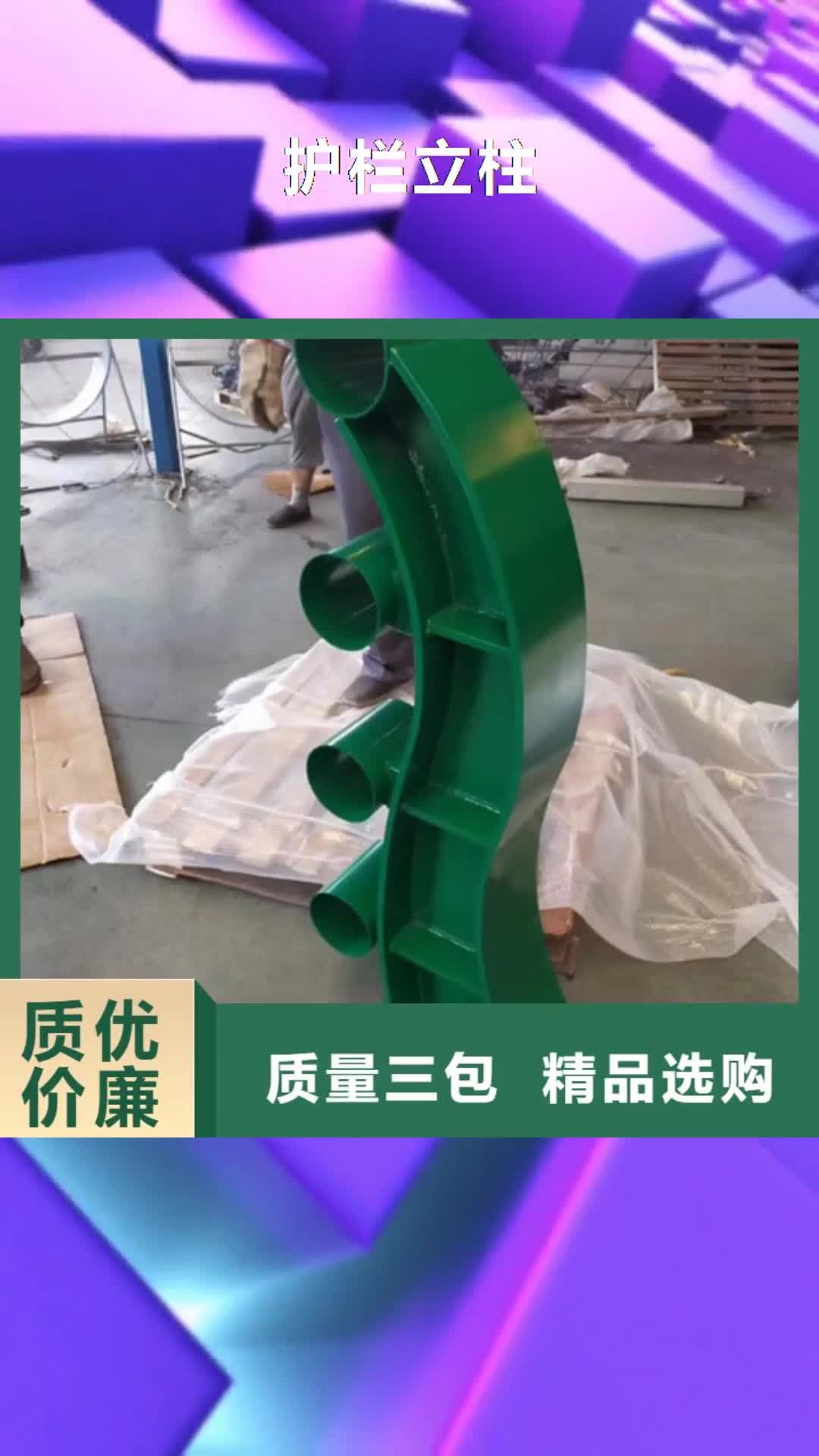 沧州 护栏立柱 【桥梁护栏厂家】厂家销售