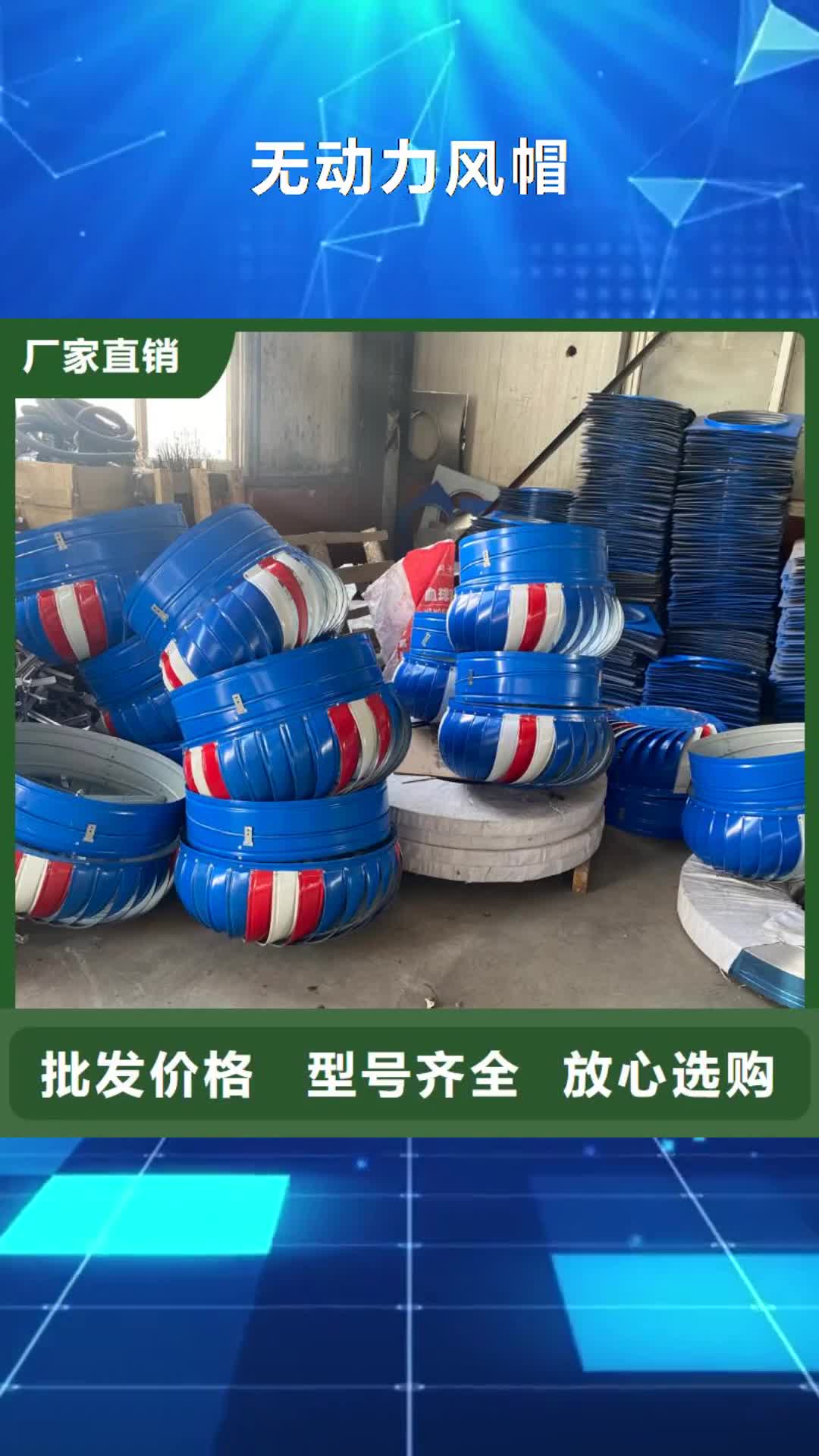 黑龙江无动力风帽【C系列防倒灌风帽】丰富的行业经验