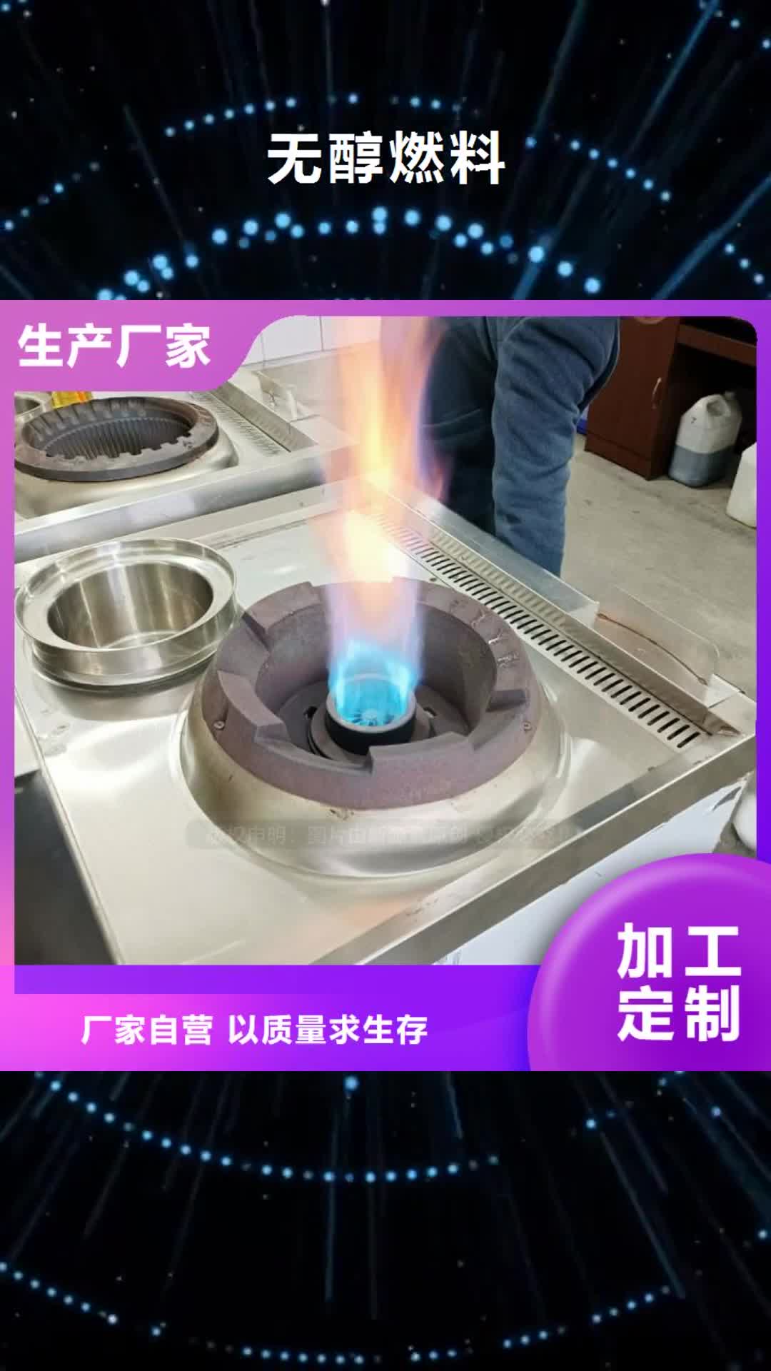 聊城【无醇燃料】 燃料植物油丰富的行业经验