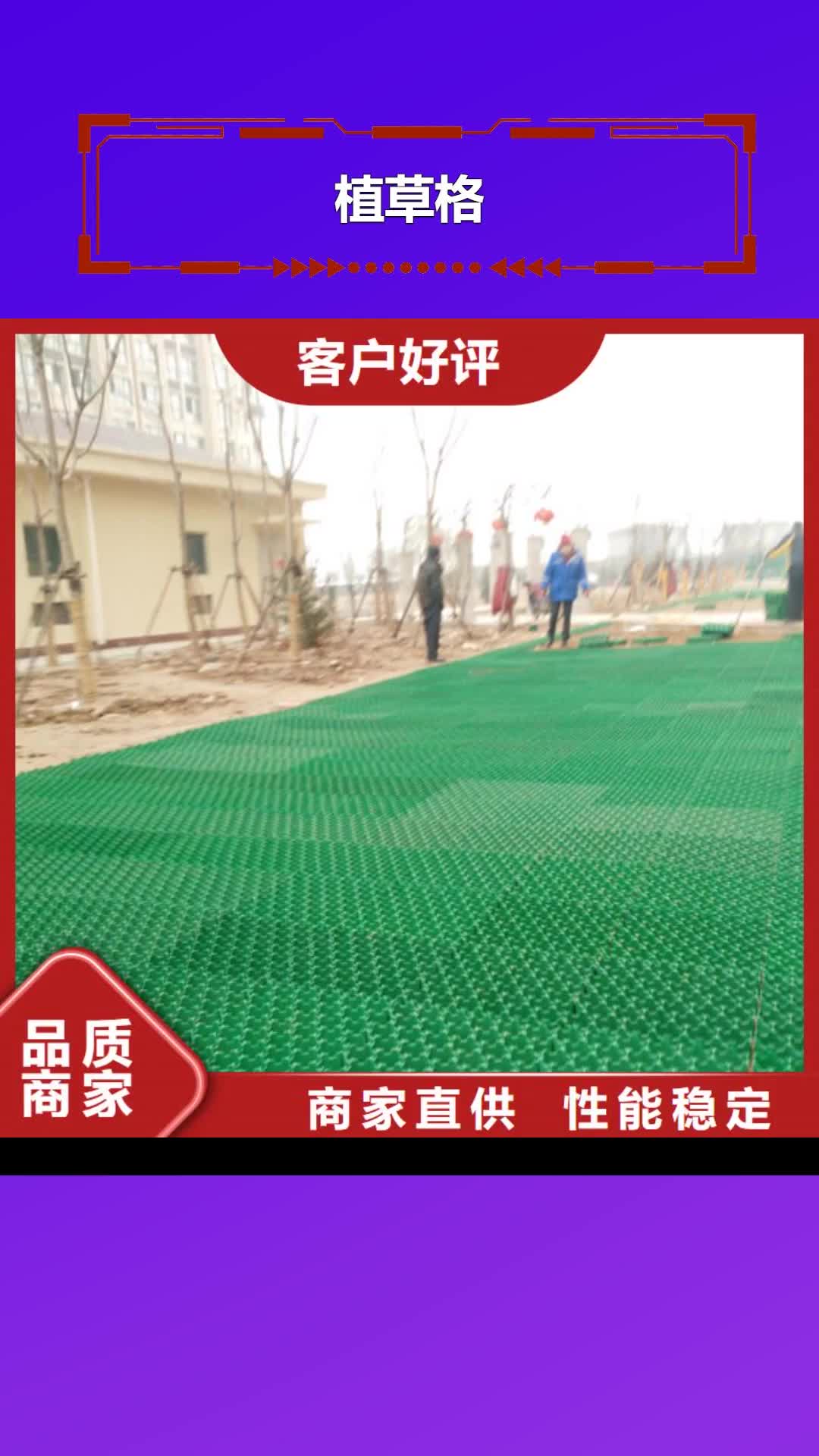 衢州 植草格-【水泥化粪池】拥有核心技术优势