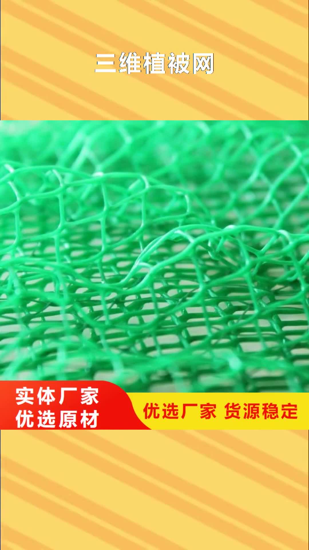 常德【三维植被网】-排水板专业生产设备
