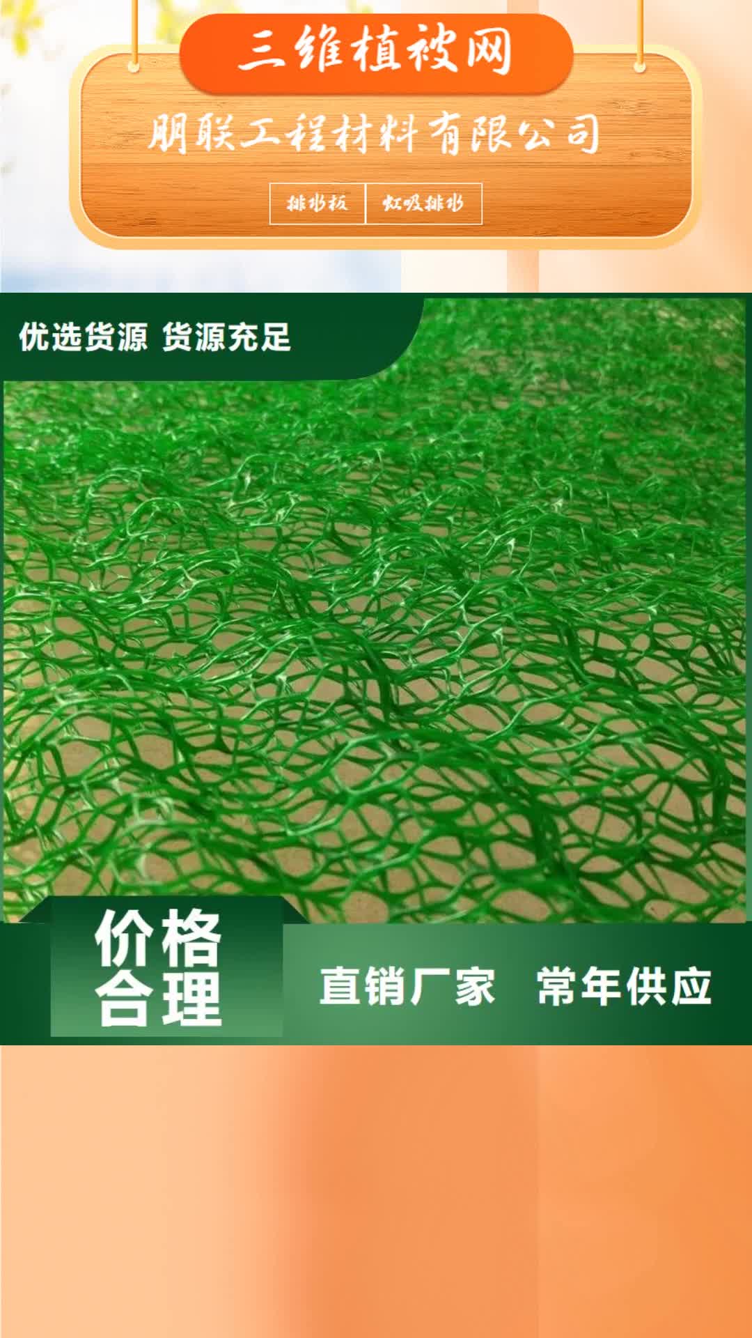 内蒙古【三维植被网】,植草格无中间商厂家直销