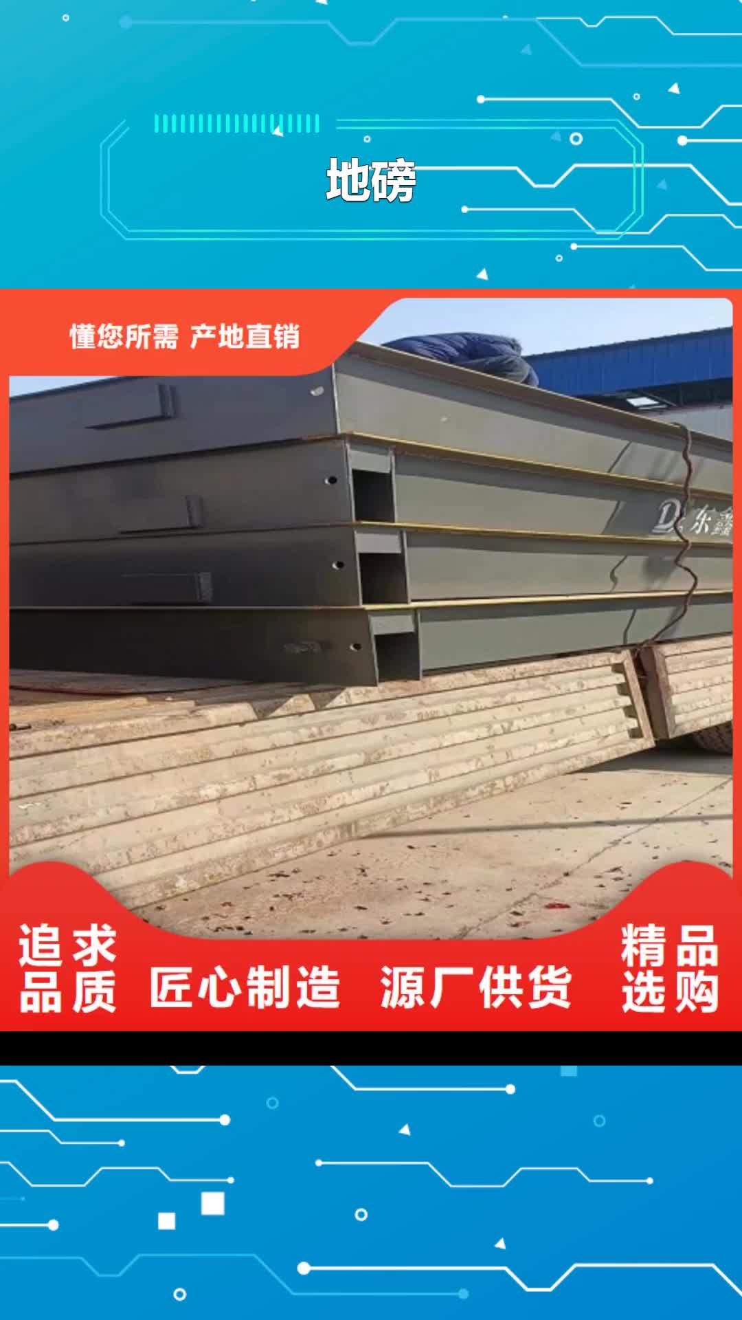六安 地磅应用范围广泛