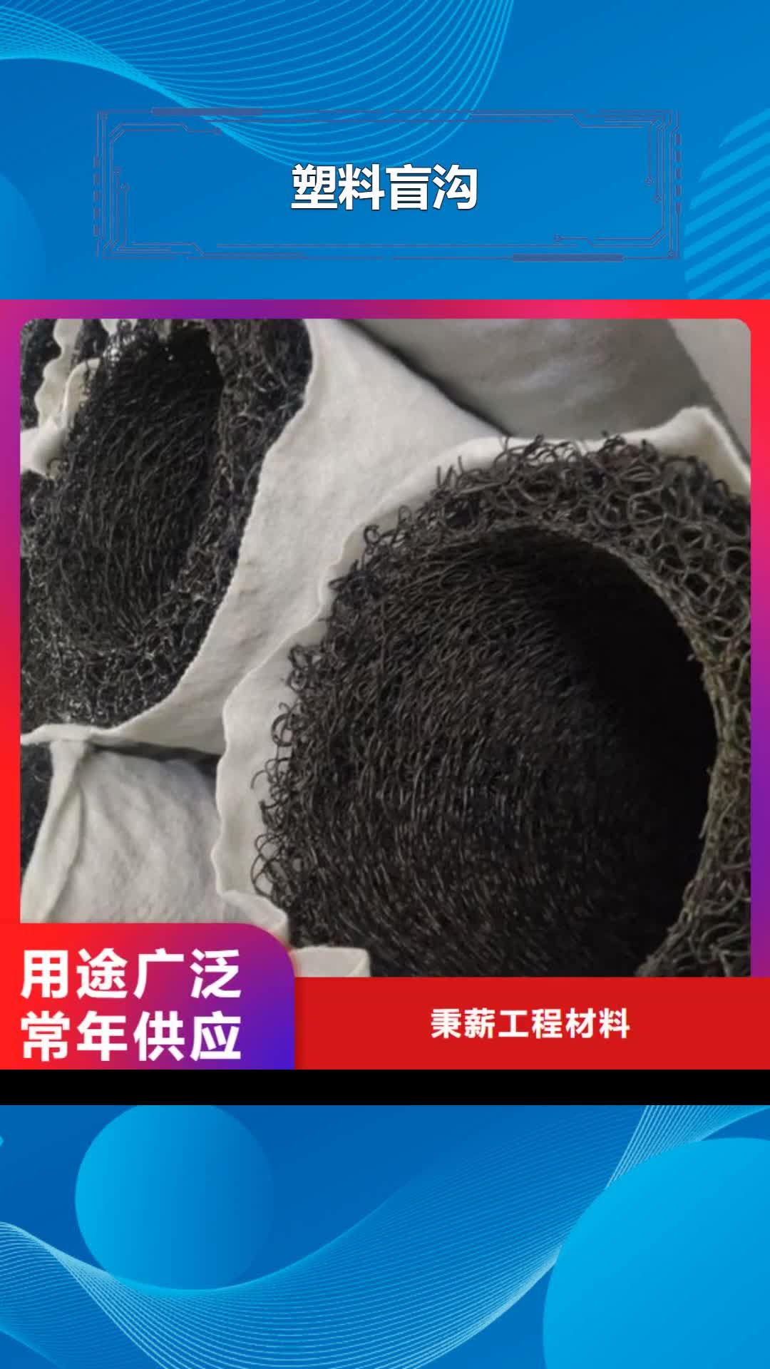 【泸州 塑料盲沟-滤水板优质货源】