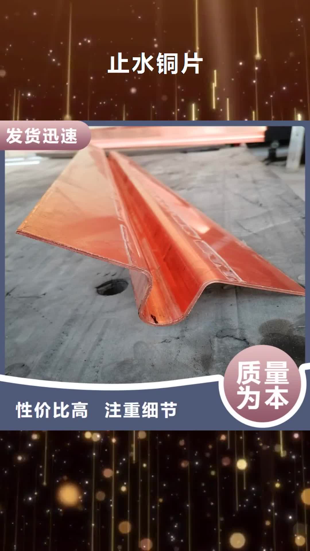 威海 止水铜片,【土工格栅】品质保证实力见证