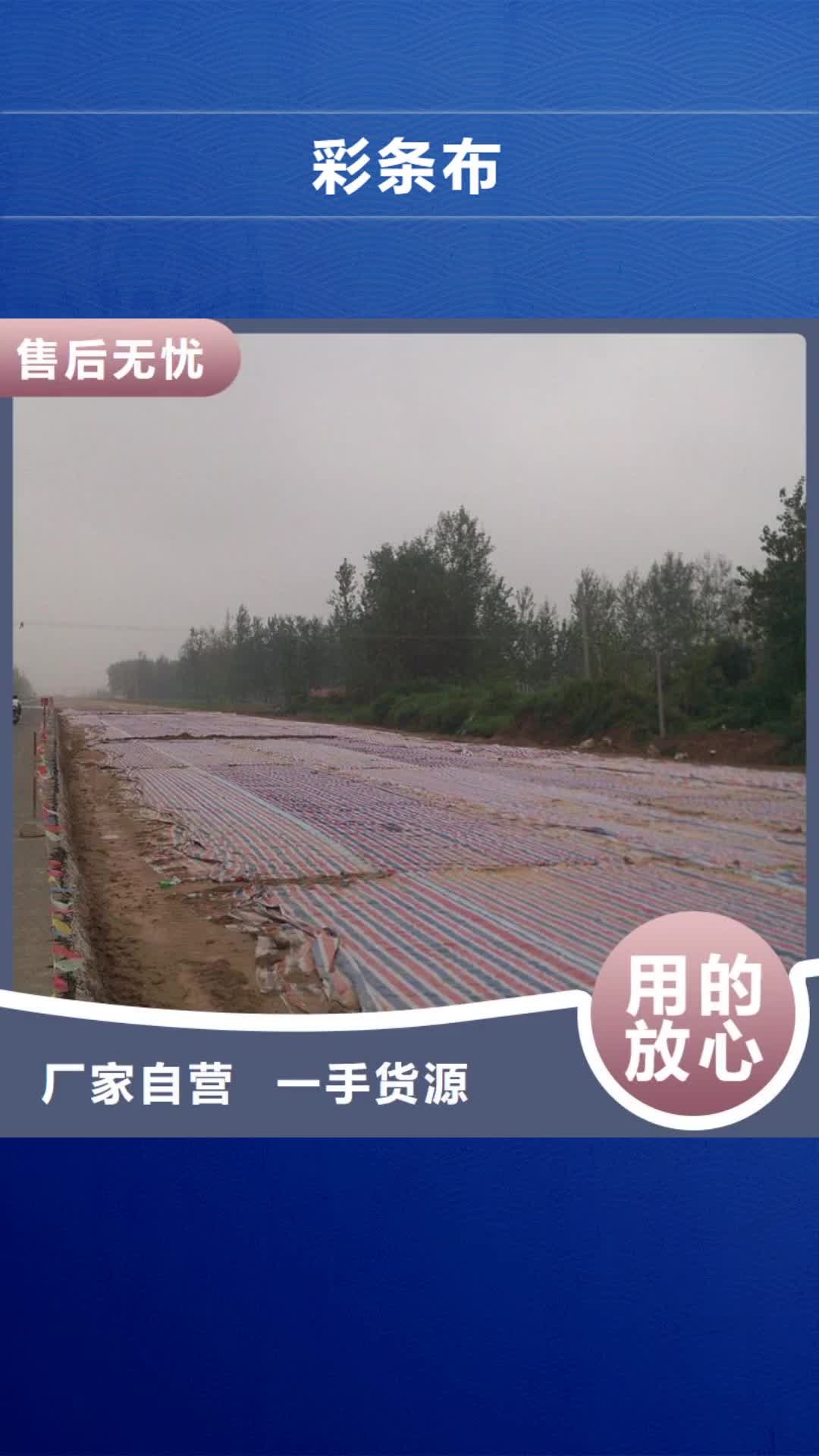 河源【彩条布】 防雨篷布厂家货品齐全