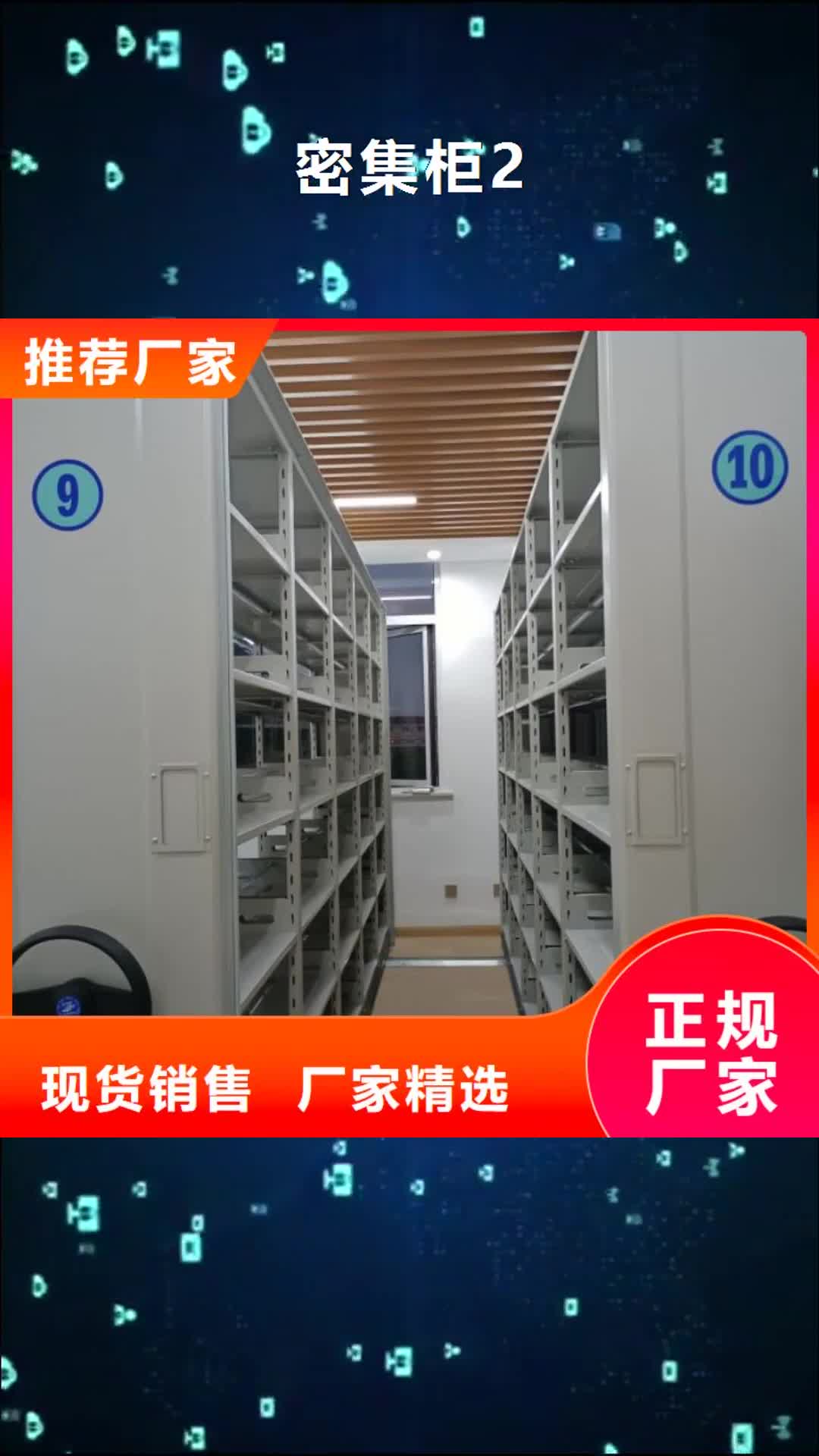 【湖州 密集柜2 档案室密集柜产品细节】