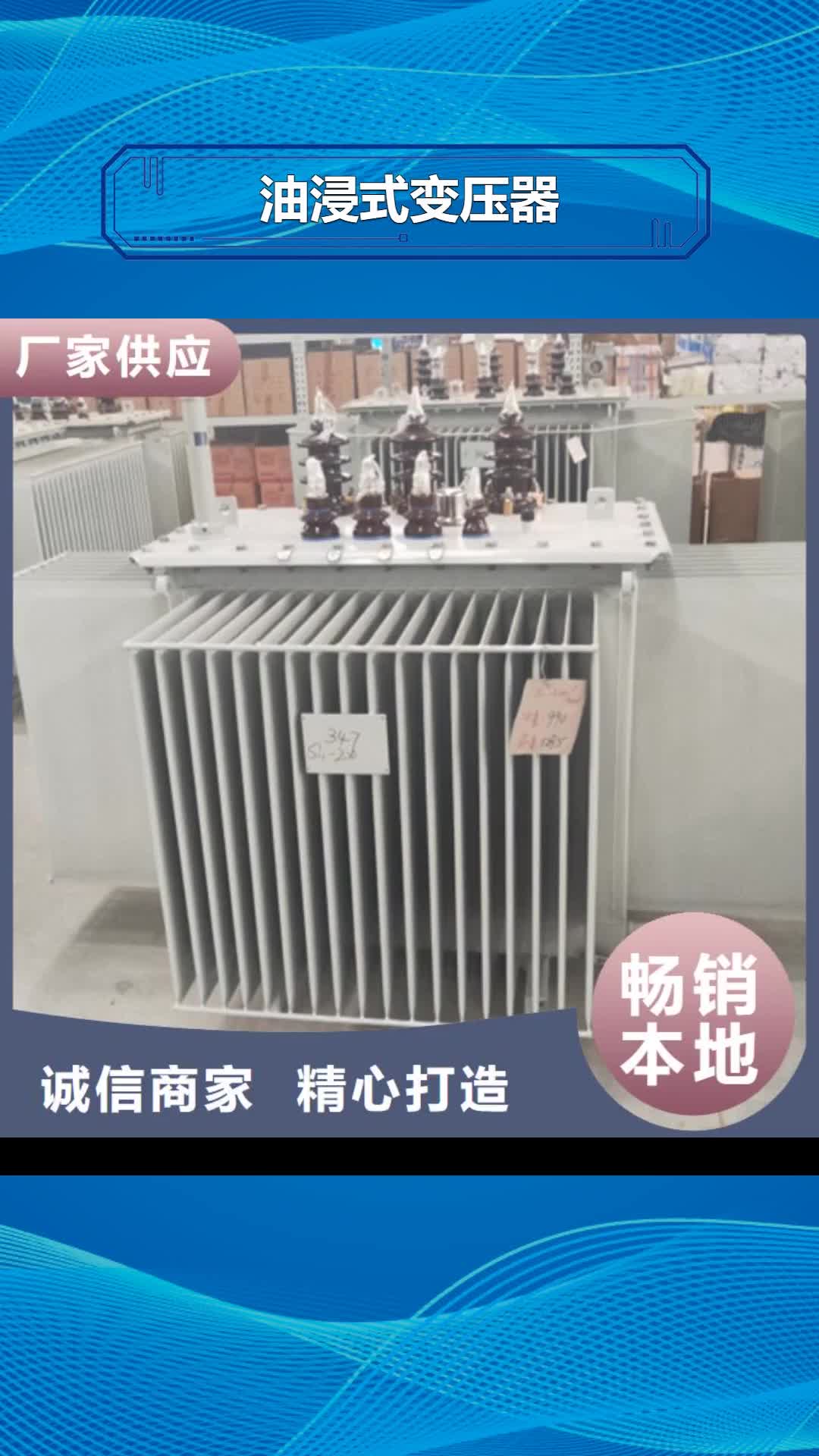 【长治 油浸式变压器-变压器厂家应用领域】
