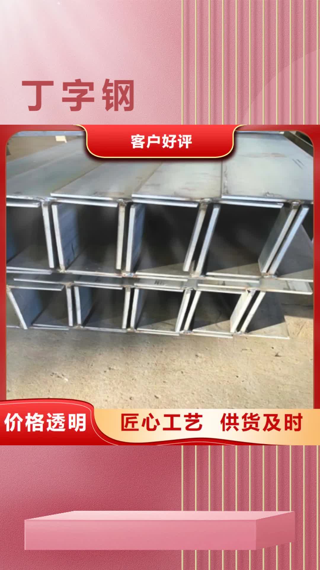 【陕西 丁字钢,T型钢厂家直销直供】