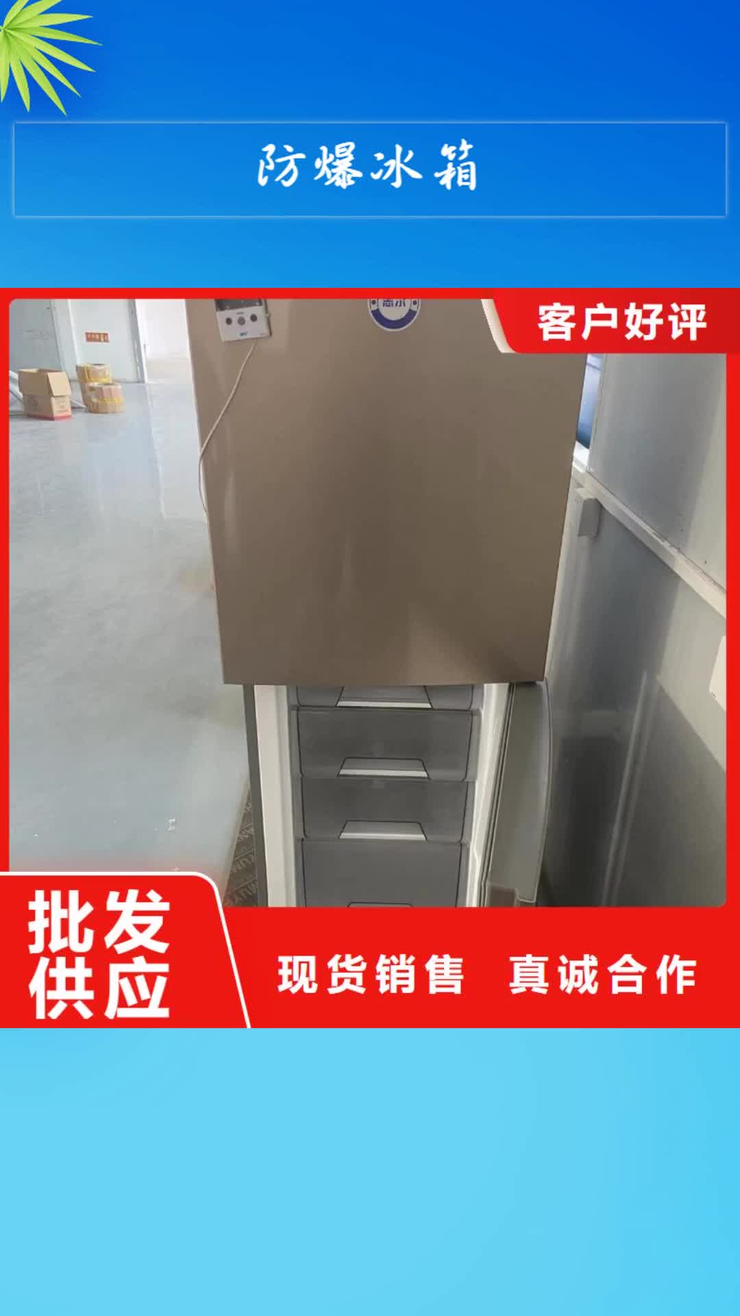 汕尾【防爆冰箱】-防爆干燥箱工艺成熟