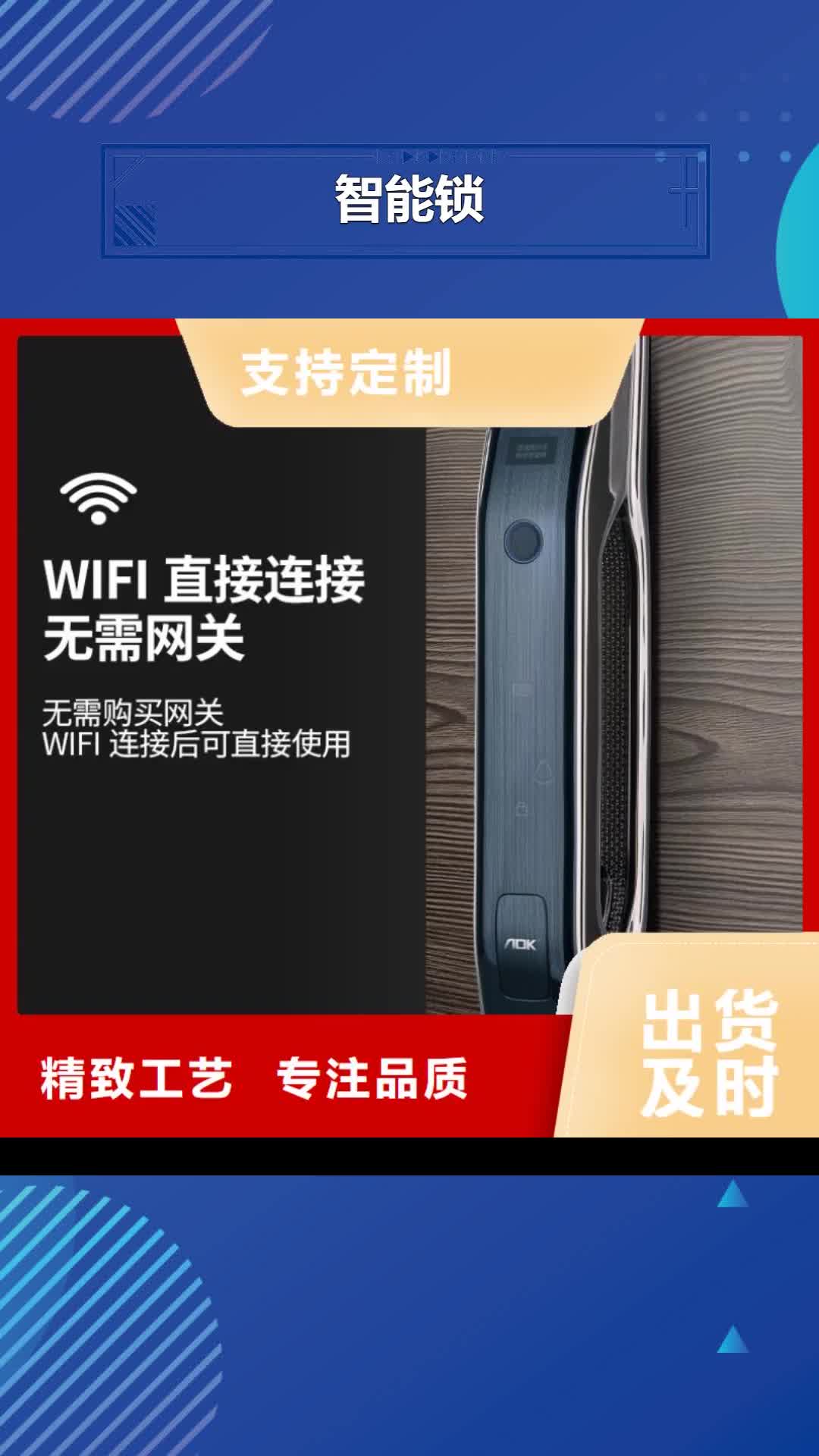 娄底【智能锁】 爱迪凯智能锁货到付款