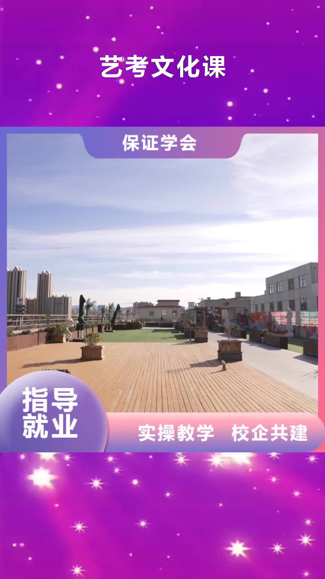 河池 艺考文化课保证学会