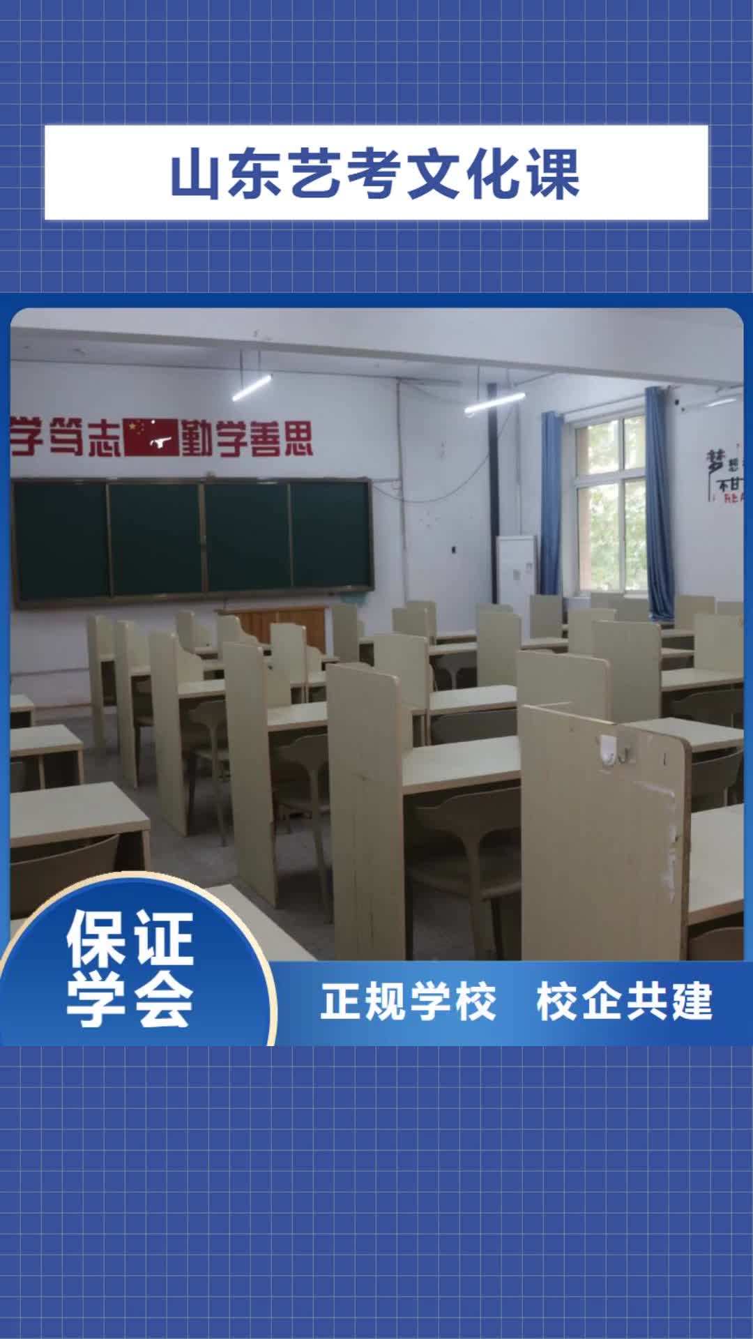 河北山东艺考文化课正规培训