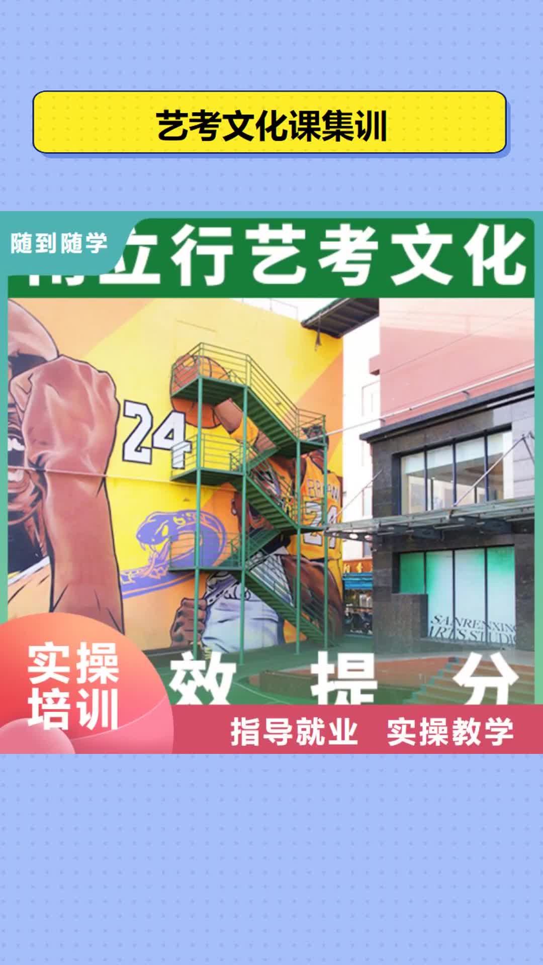 直辖 艺考文化课集训课程多样