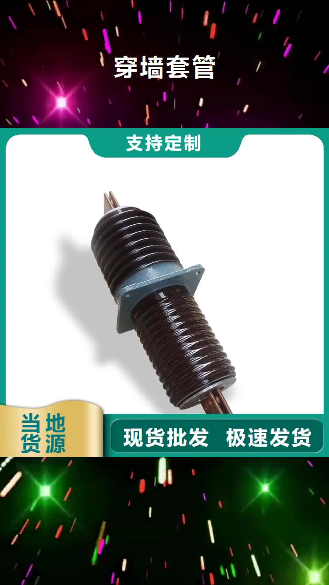 【阳江 穿墙套管绝缘子性能稳定】
