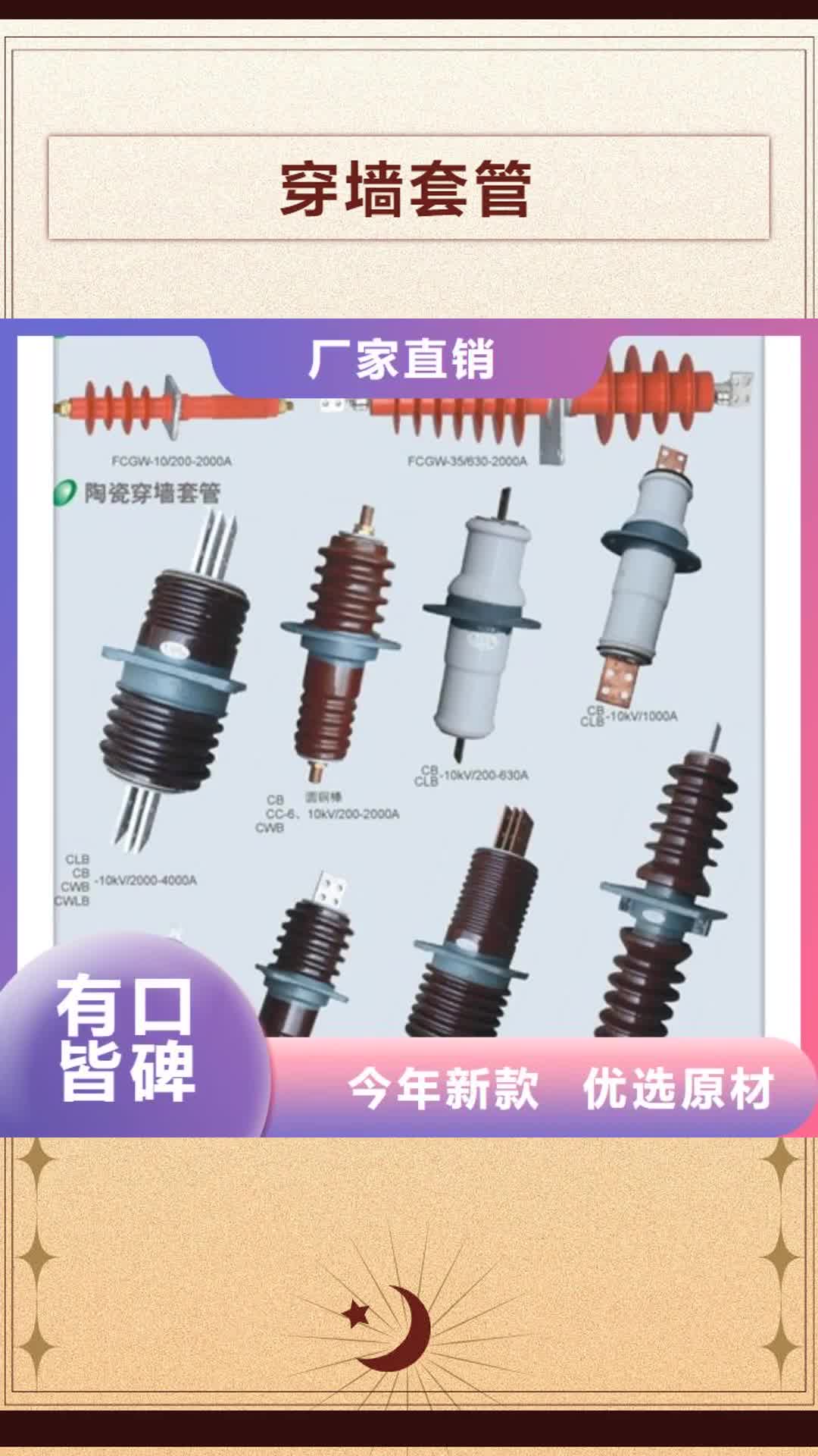 珠海 穿墙套管 【绝缘子】产地工厂