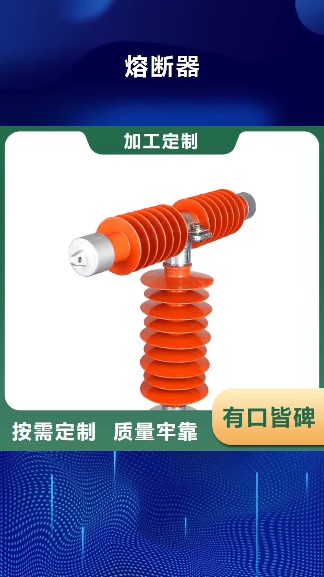 【湖南 熔断器_氧化锌避雷器拒绝中间商】