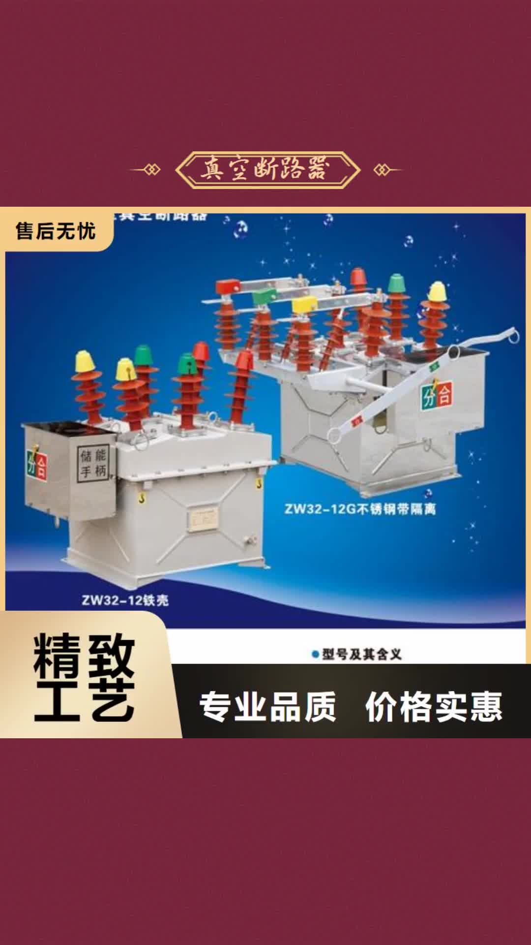 【成都 真空断路器_穿墙套管专业生产品质保证】
