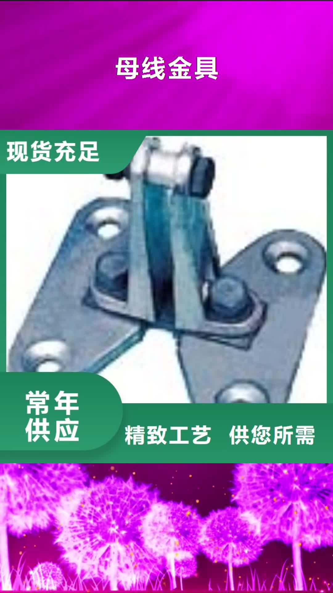 【嘉峪关 母线金具_跌落式熔断器为您提供一站式采购服务】
