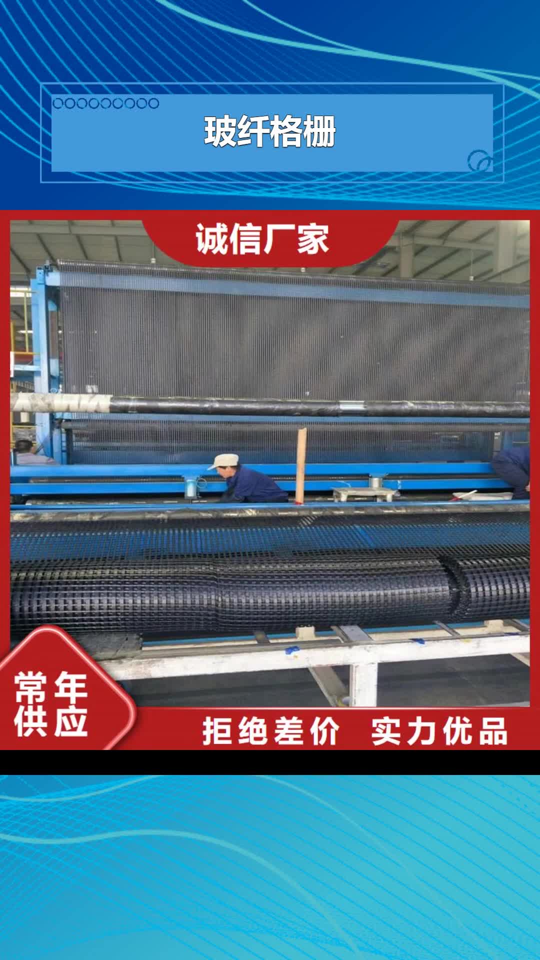 【海南 玻纤格栅-钢塑土工格栅好货直销】