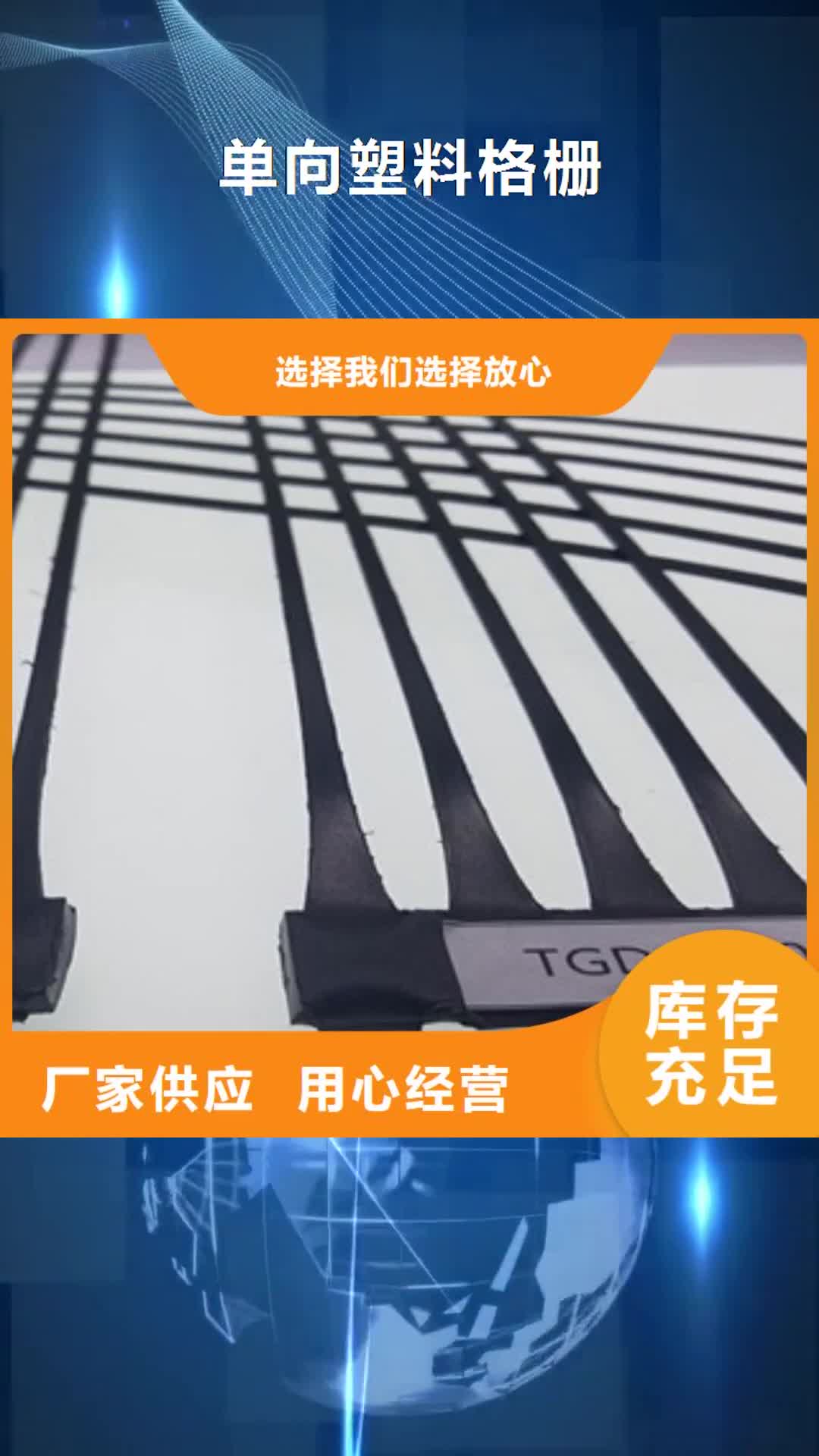 襄阳【单向塑料格栅】 钢塑土工格栅源头厂家直销