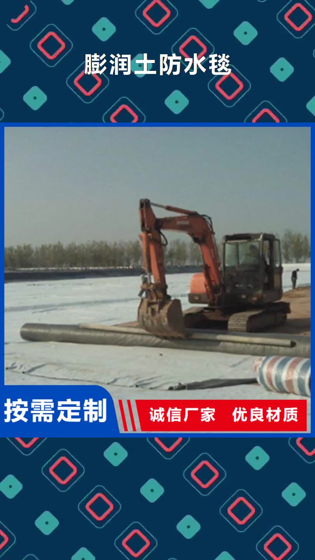 【信阳 膨润土防水毯 复合土工布用品质赢得客户信赖】