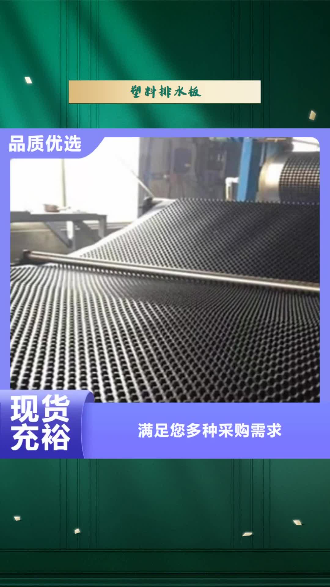 【温州 塑料排水板-三维植被网的图文介绍】